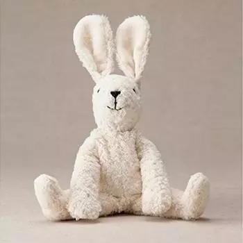 Кролик Зенгера (белый)