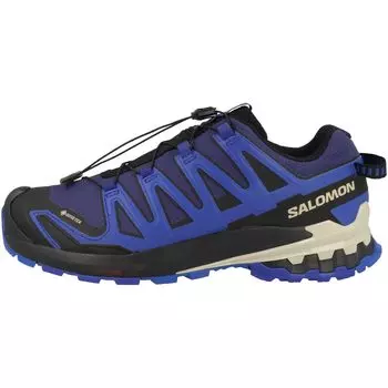 Кроссовки для треккинга SALOMON Low Climbing Shoes XA PRO 3D V9 L47270300 Blue [Salomon] Gore-Tex GORE-TEX (Синий/26.0/Мужской) синий