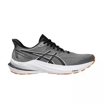 Кроссовки мужские ASICS GT 2000 12 Metropolis черные серые 1011B691-020 45
