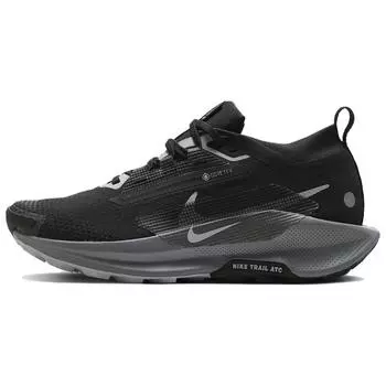 Кроссовки женские Nike Pegasus Trail 5 GORE-TEX Black Wolf Grey Cool-Grey Anthracite FQ0912-001 37.5