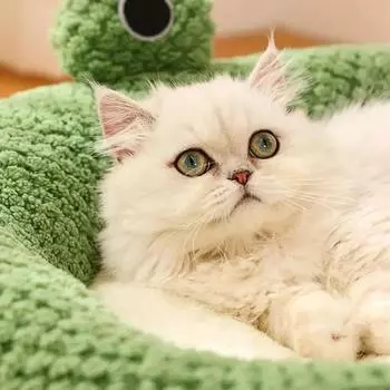 Кровати для кошек Теплая кровать Пушистые подушки для зимних домиков Мягкие товары Товары для животных Домик для котят Корзина для щенков Аксессуары для среды обитания собак S