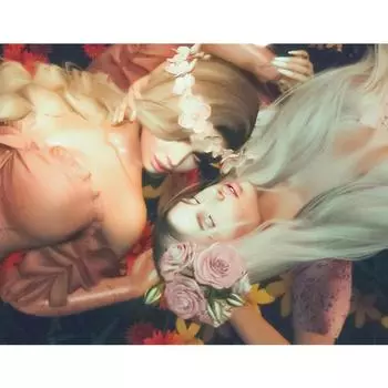 Круглая алмазная живопись «сделай сам», вышивка крестиком, ремесло, Алмазная мозаика, вышивка, пейзаж, животные, мозаичный узор, домашний декор, набор для рукоделия Full Round 20x30CM