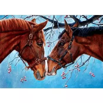 Круглая алмазная живопись «сделай сам», вышивка крестиком, мозаика, Алмазная вышивка, мозаика со стразами, подарок, украшение дома, сделай сам, ручная работа Full Round 20x30CM