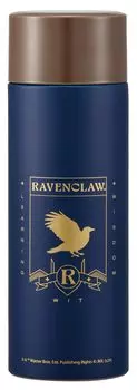 Кружка-бутылка из нержавеющей стали Skater 350 мл с вакуумной изоляцией для воды Harry Potter Ravenclaw SMBC4B Термо/Холод