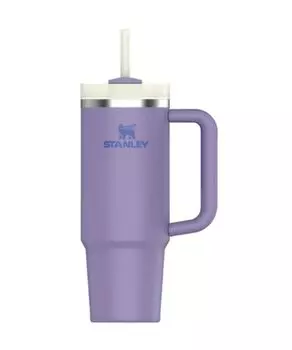 Кружка для воды STANLEY с тонким вакуумным фильтром H2.0 0,88 л 10-10827-525 (Лаванда/FF)