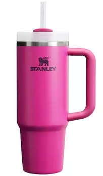 Кружка для воды STANLEY с тонким вакуумным фильтром FUCHSIA H2.0 0,88 л 10-11825-155 (Маджента/FF)