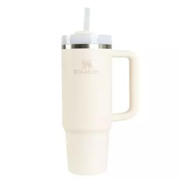 Кружка для воды STANLEY с тонким вакуумным фильтром H2.0 0,88 л 10-10827-613 (Кремовый/FF)