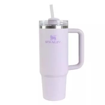 Кружка для воды STANLEY с тонким вакуумным фильтром H2.0 0,88 л 10-10827-459 (Фиолетовый/FF)