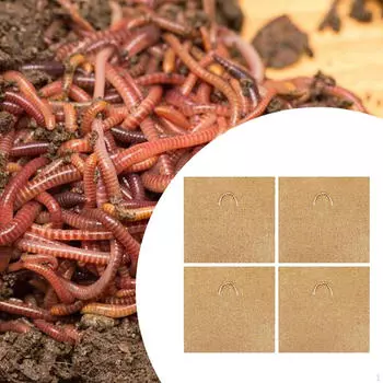 Крышка контейнера для червяков для управления отходами 2pcs