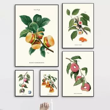 Кухня гамбургер завод забавные плакаты и принты украшения настенные панно пончик макарон пицца суши художественная живопись подарки домашний декор 21x30cm No Framed