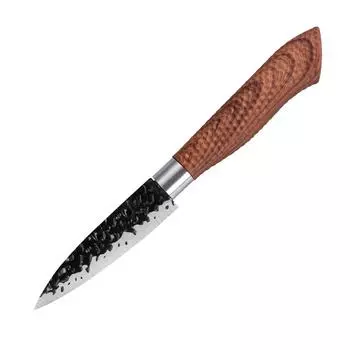 Кухонный нож Нож для фруктов Нож шеф-повара в японском стиле Высокоуглеродистая нержавеющая сталь 3.5 inch