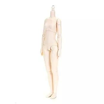 Кукла Obitsu Seisakujo Коллекционные предметы Кукла Obitsu 24BD-F02W-S 24 см Obitsu Body Bust S Новая модель Белый