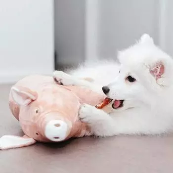 Кукла-розовая свинья Dingdongpet, разные цвета, 1 шт.