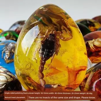 Кулон из янтаря с насекомым, Натуральный образец бабочки, Янтарное ожерелье с насекомым и червем, Подвеска с животным, Детские подвесные украшения Single-sided polished gold-per Scorpion