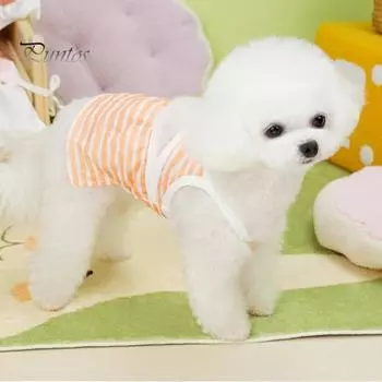 Купальник для домашних животных, дышащий полосатый принт, слинг-бикини, летнее платье-майка, легко носить, крутой пляжный купальник для собак, кошек, реквизит для фотосъемки, костюм M зелёный