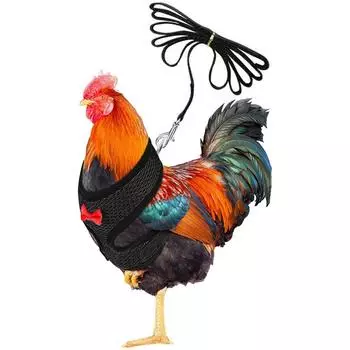 Куриная веревка с поводком и подходящим поясом, удобный жилет для домашних животных One Size чёрный