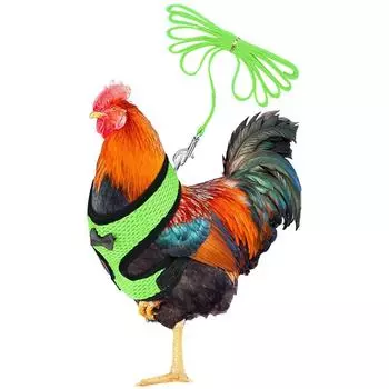 Куриная веревка с поводком и подходящим поясом, удобный жилет для домашних животных One Size зелёный