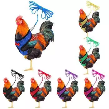 Куриная веревка с поводком и подходящим поясомУдобный жилет для домашних животных One Size зелёный