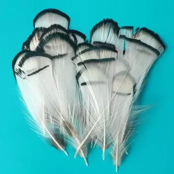 Куриное перо, медная куриная белая головка, 4-8 см, маленькие поделки из перьев, декоративная роспись, украшения, декоративные материалы 100pcs