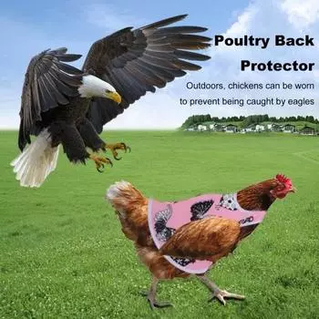 Куриное седло, фартук для кур, защитный жилет для кур, куртка для защиты крыльев птицы от роста перьев M