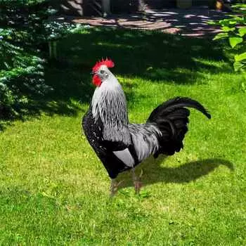 Куриные украшения, двухсторонний двор, художественный декор, садовые скульптуры, печать, уличные реалистичные статуи петуха, акрил 25*18.8cm