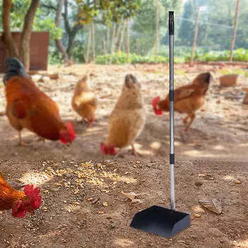 Куриный совок для помета Сверхпрочный Многофункциональный Съемный Портативный Длинная ручка Чистка