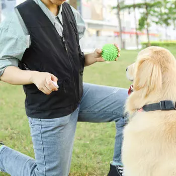 Куртка для дрессировки собак для активных питомцев M