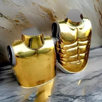 Куртка Golden Medieval Mussels для косплея, ролевых игр и сражений, лучший подарок, костюм на Хэллоуин