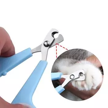 Кусачки для когтей для домашних животных Кусачки для когтей из нержавеющей стали для кошек Чистящие средства для домашних животных 12CM синий