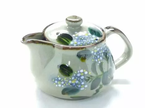 Кутани Крупночашечковая гортензия Blue Blue [Чайник/Чайник] и [Задняя фотография]