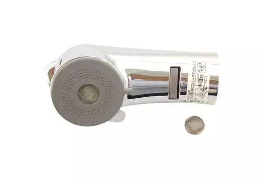 KVK shower head ZKM828MN