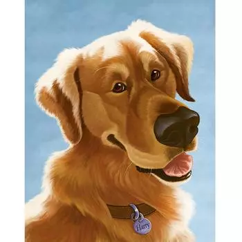 Квадратная/круглая Алмазная вышивка Собака 5D DIY Алмазная вышивка крестиком Животное Вода Алмазная мозаика Украшение Full Square (20X30CM)