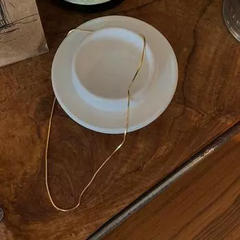 Квадратная змеиная костяная цепочка женская простая цепочка ожерелье нишевый дизайн темперамент простая голая цепочка