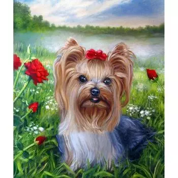 Квадратный/круглый алмаз 5D DIY Алмазная картина Домашняя собака Вышивка Крестом Алмазная мозаика Full Square (20X30CM)