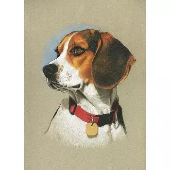 Квадратный/круглый DIY Алмазная вышивка Домашняя собака 5D Алмазная картина Водная Алмазная мозаика Украшение Full Square (20X30CM)