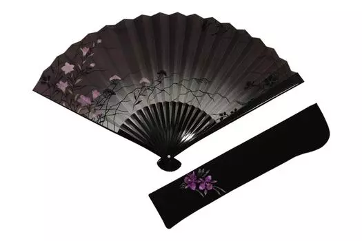 Kyoto fan handmade by Kyoto black fan bag paper box included [Hasegawa] Kikyou double-sided pattern, craftsmen, fan, embroidered, included,
