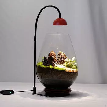 Лампа для комнатных растений, лампа для комнатных растений, простая в использовании, настольная лампа, настольная лампа для растений