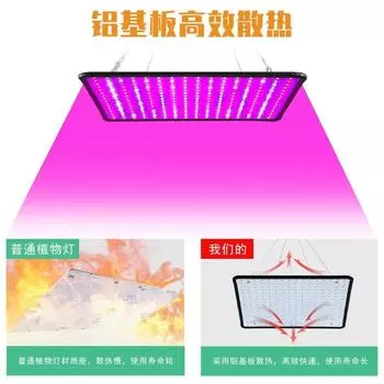 Лампа для выращивания растений в помещении, вилка EU/AU/UK/US, несколько цветов, доступны последние модели ламп для выращивания растений, светодиодная лампа полного спектра для теплиц EU