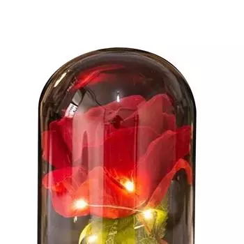 Лампа в виде стеклянной бутылки с розой Красивая яркая светодиодная лампа в виде бутылки с сухоцветом розы на день рождения и день святого Валентина