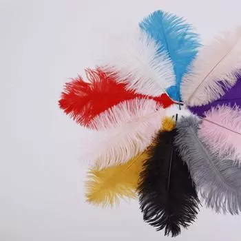 Лампы из страусиных перьев 25-30 см с перьями 10PCS белый