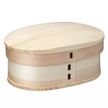 Ланч-бокс Skater Magewappa 550 мл с прокладкой WLB6 с ремнем, герметичный