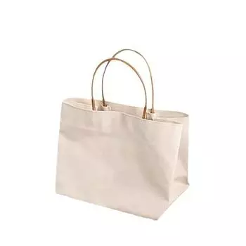 Large capacity canvas bag women s 2024 new short-distance travel bag niche handbag hand carry go commuting shoulder bag