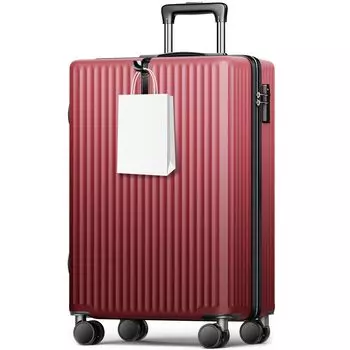 Large Carry Ultra Carry Hidden Hook 360 Degree Double Zipper TSA Lock PC Business Trip Small 3 [BARGOHOY] Чемодан, Вместимость, Чехол, Ручная кладь,