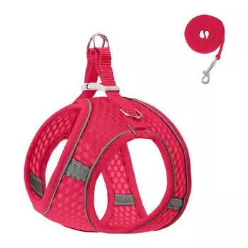 Large mesh breathable pet leash reflective pet chest strap small and medium dog cat leash walking cat leash XXXS