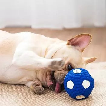 Латексная спортивная игрушка для собак Jezepet S, футбольный мяч, 1 шт.