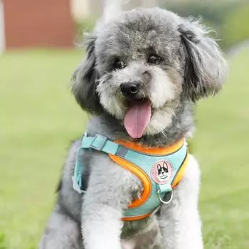 Leather Amoy Suede Adjustable reflective chest and back leash, anti-break free from walking the dog rope when going out S (suitable for 4-3 kg)