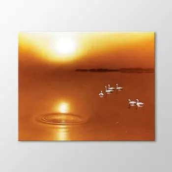 Лебеди на закате картина