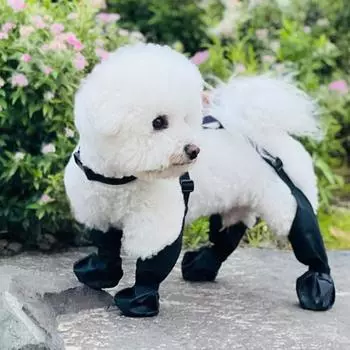 Леггинсы для собак, регулируемая защита для лап собак, водонепроницаемая обувь с подтяжками, противоскользящая для собак XS