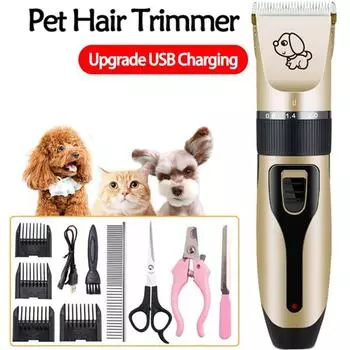 Легкий и экономичный груминг собаки дома, экономьте время и деньги, делая это самостоятельно.