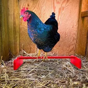 Легко чистить жердочку для попугая износостойкая полезная игрушка-подставка для игры с цыплятами